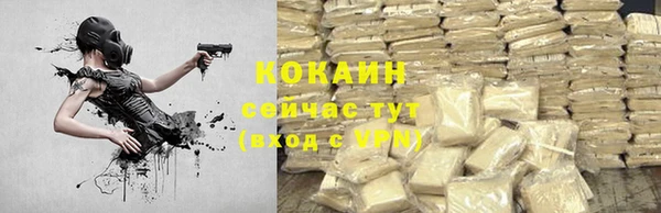 шишки Струнино