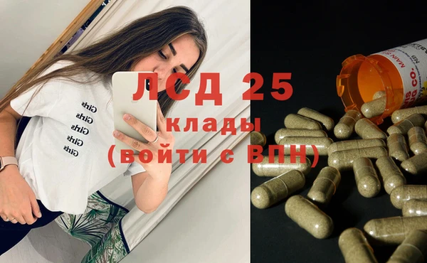 мяу мяу мука Дмитров
