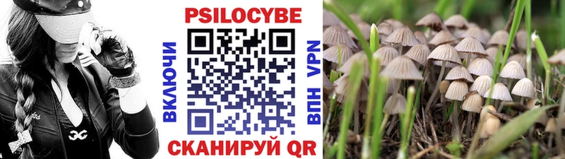 мега tor  Дагестанские Огни  Псилоцибиновые грибы Psilocybe 