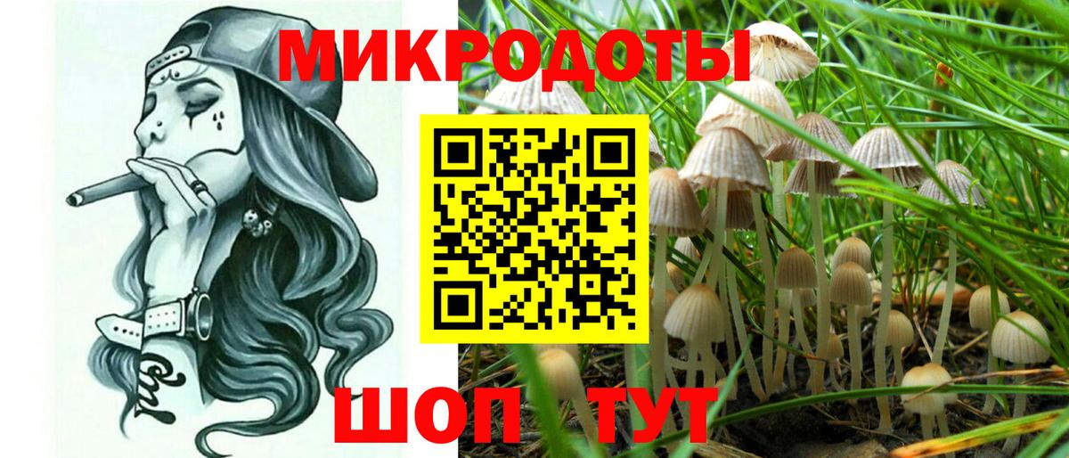 Псилоцибиновые грибы Magic Shrooms Дагестанские Огни