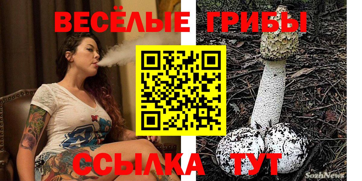 Дагестанские Огни  Галлюциногенные грибы прущие грибы  Вход с VPN 